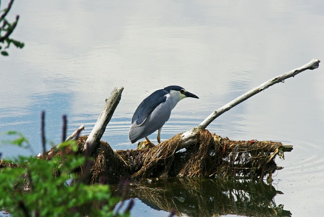 Durankulak Lake