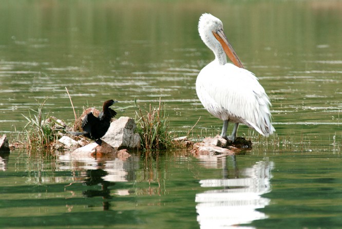 Shabla Lake