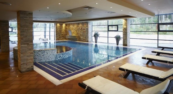 The swimming pool
